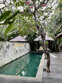 Luxury & Nature in Harmony