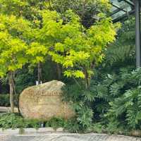 Nature’s Elegance at Botanica+Co