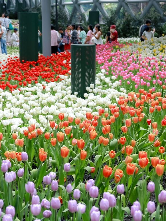 สวนดอกไม้เมืองหนาว