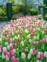 📍: Miracle of Natural🌷โครงการ PTT LN