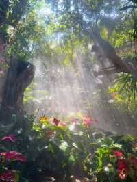 Where Coffee Meets Fairyland in Chiang Rai