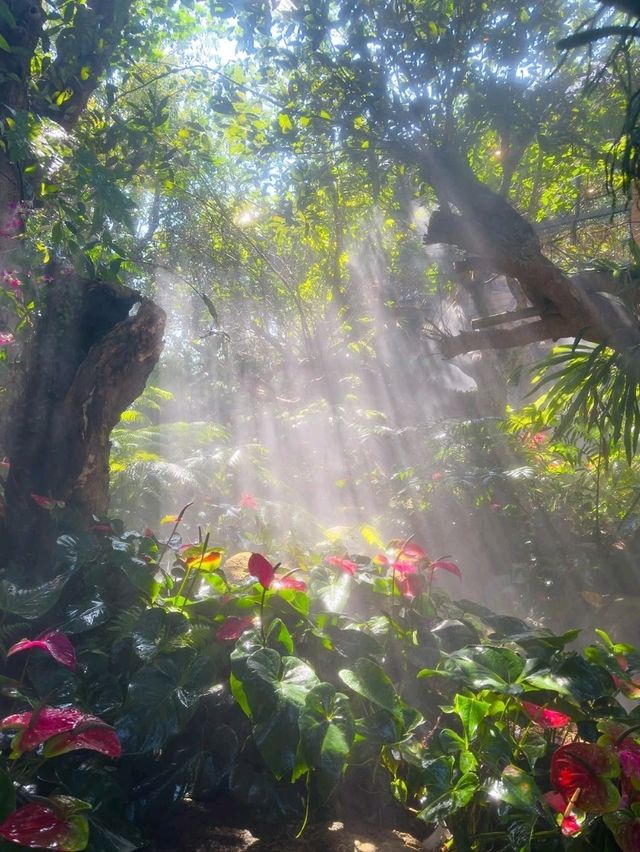 Where Coffee Meets Fairyland in Chiang Rai