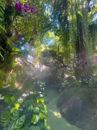 Where Coffee Meets Fairyland in Chiang Rai