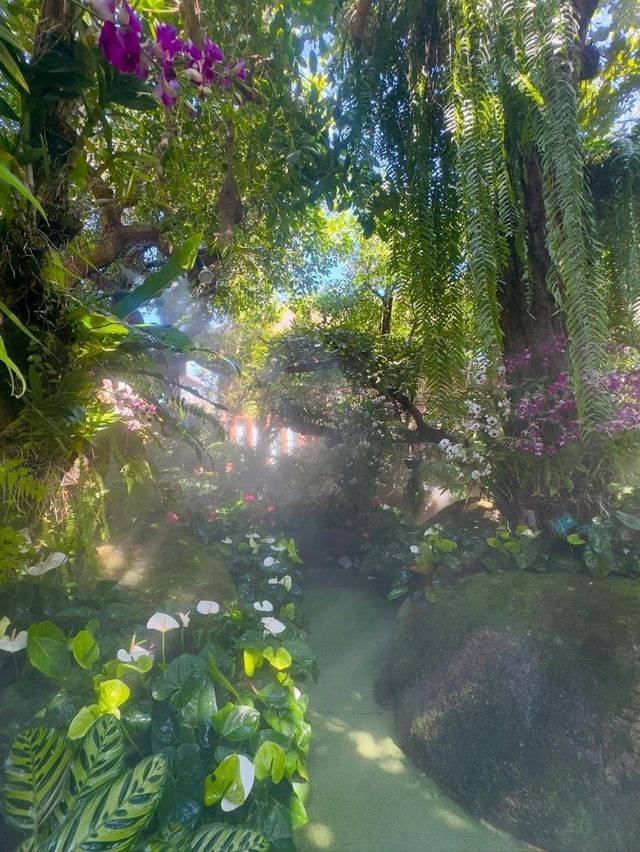Where Coffee Meets Fairyland in Chiang Rai
