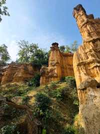 Chiang Mai’s Hidden Springtime Oasis