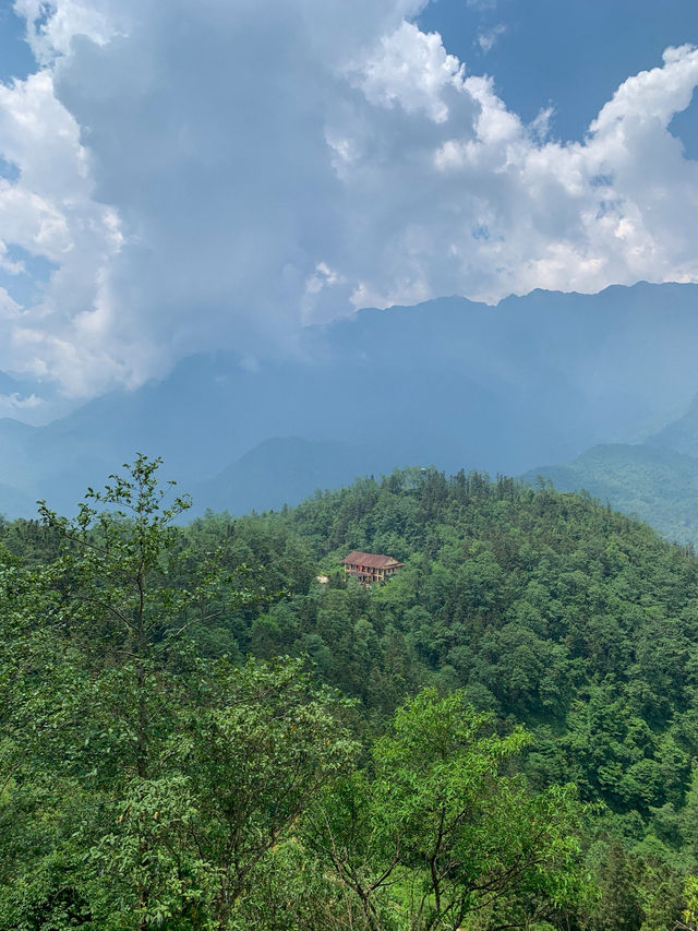 🇻🇳 Sapa: Where the Mountains Breathe and the Clouds Become Your Neighbors ⛰🌾