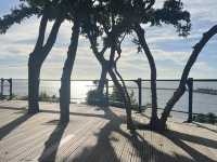 打狗領事館海景太浪漫！
