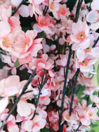 Samurai Petals at Matsue Castle