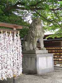 A Peaceful Day in Samukawa – Shrines, Sakura & a Slow Walk