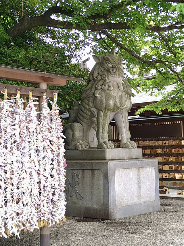 A Peaceful Day in Samukawa – Shrines, Sakura & a Slow Walk