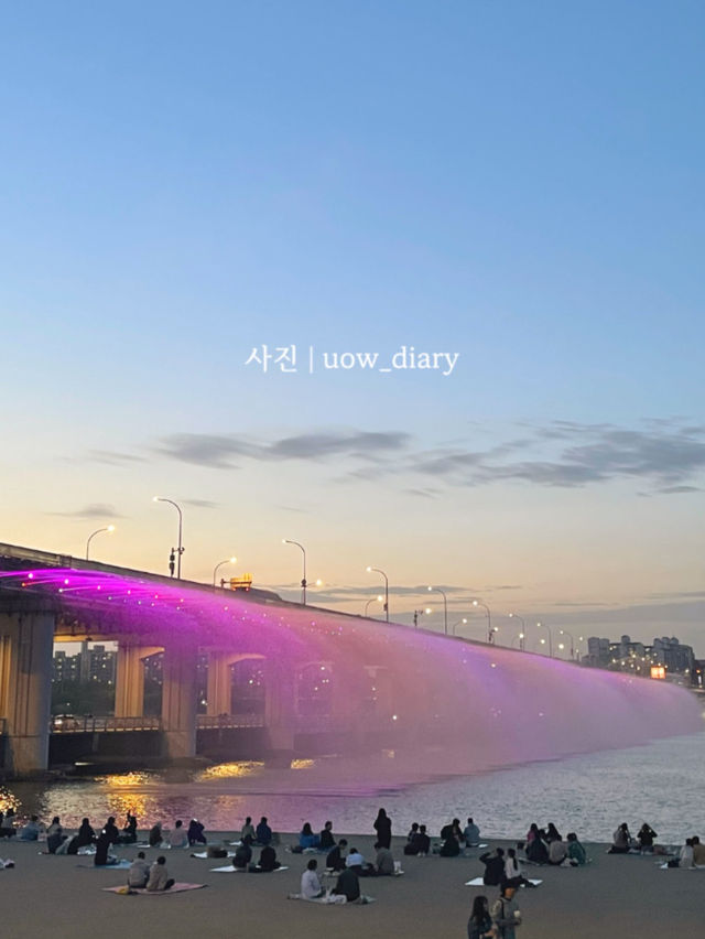 서울 낭만피크닉 명소 1등은 여기!! ⛲️🐳🐋