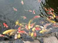 Ritsurin Garden – Tranquility in Every Season