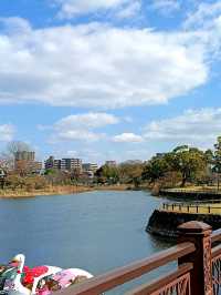 熊本著名觀光勝地 <水前寺江津湖公園>