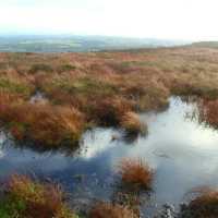 Slieve Bloom Mountains – Ireland’s Hidden Highlands