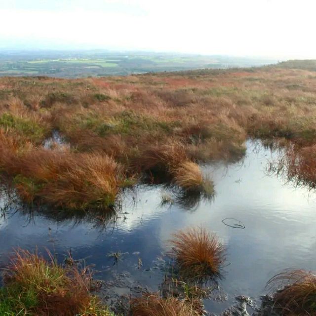 Slieve Bloom Mountains – Ireland’s Hidden Highlands