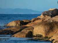 Wild & Wonderful: Coral Discoverer’s Kimberley Expedition Cruise!
