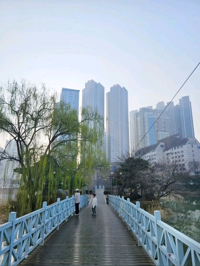 이천 천연온천수물이좋은 💚미란다호텔