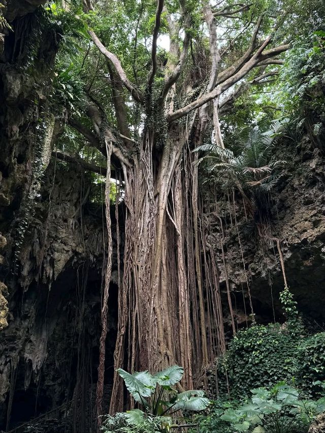 Spring Jungle Feels