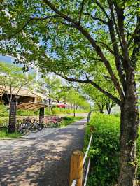 A Refreshing Escape at Misa Lake Park (미사호수공원), Hanam