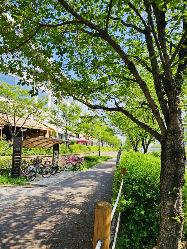 A Refreshing Escape at Misa Lake Park (미사호수공원), Hanam