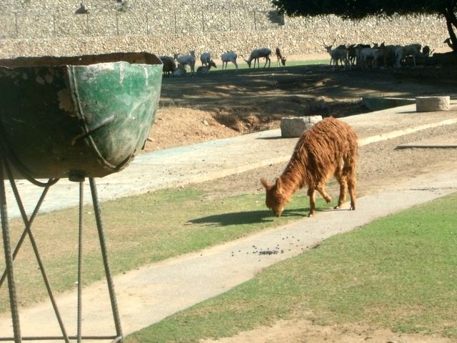 A visit to Baluarte, bastion in the north