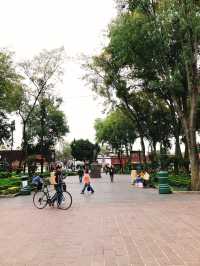 🌮【メキシコの朝ごはん旅レポ】「Fonda El Comal」でローカルな味を堪能！