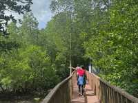 Johor Bahru Half-Day Trip — Kukup Island Mangrove National Park