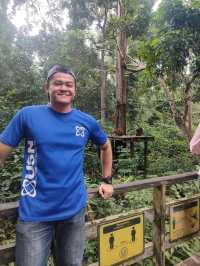 Itinerary: Sepilok Orang Utan Rehabilitation Centre - The Biggest Sanctuaries Orang Utan in Malaysia