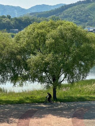 A Scenic Spot for a Stroll Along the Nakdong River