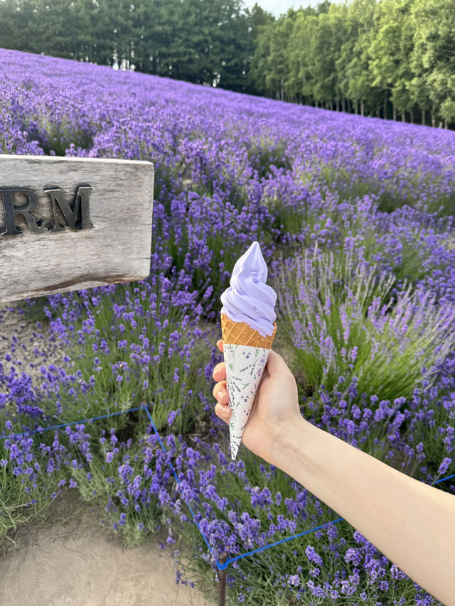 삿포로는 여름에 가야해요🍃