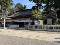 【神木與靈泉的庇佑】走進鹿島神宮—一場靜心與祝福的神域旅程