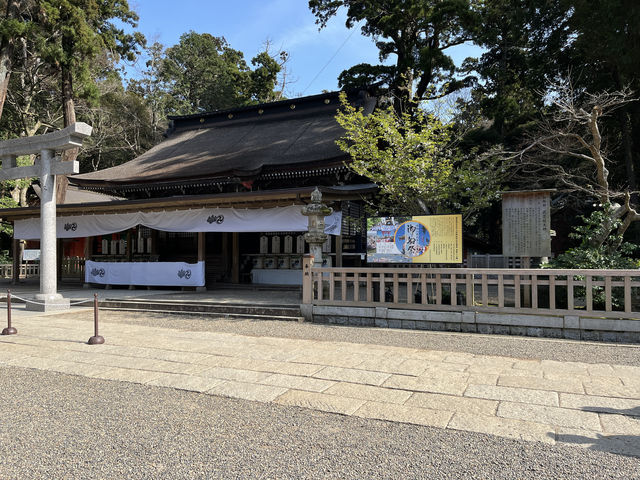 【神木與靈泉的庇佑】走進鹿島神宮—一場靜心與祝福的神域旅程