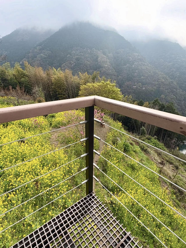 Scenic Adventure in Ōboke & Koboke Gorge 🚤⛰️