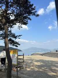 🏖️✨ 만성리해수욕장 (ชายหาดมันซองรี)