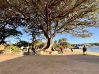 A Solitary Stroll Through Watsons Bay & Beyond, NSW