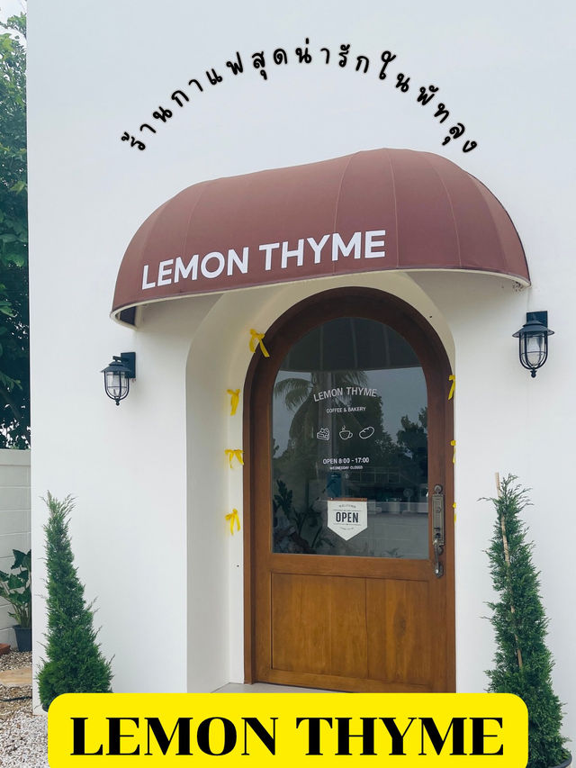 Lemon thyme 