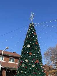 🎄 서울 속 작은 외국, 용산 장교숙소5단지 