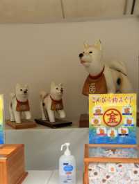 香川｜千階樓梯挑戰的金刀比羅宮 與金比羅犬有趣歷史