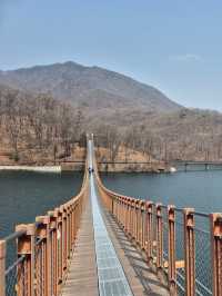 🌿 호수 위를 걷다, 파주 마장호수에서의 하루 🌉