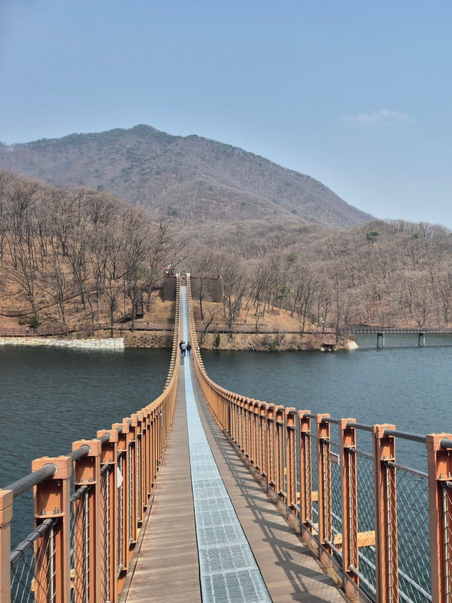 🌿 호수 위를 걷다, 파주 마장호수에서의 하루 🌉