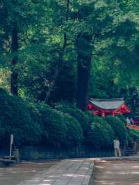 千本鳥居が目を惹く、東京の根津神社
