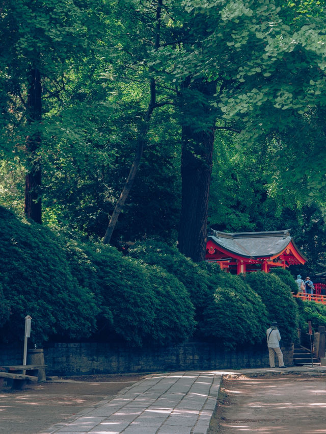 千本鳥居が目を惹く、東京の根津神社