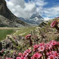 Escape the Summer Heat at Riffelsee: Zermatt’s Mirror Lake with a Matterhorn View
