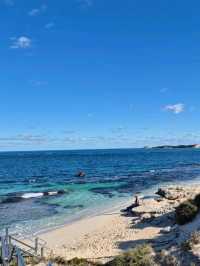 🏝️ Rottnest Island – Perth’s Tropical Paradise Just a Ferry Away! 🐾🌊☀️