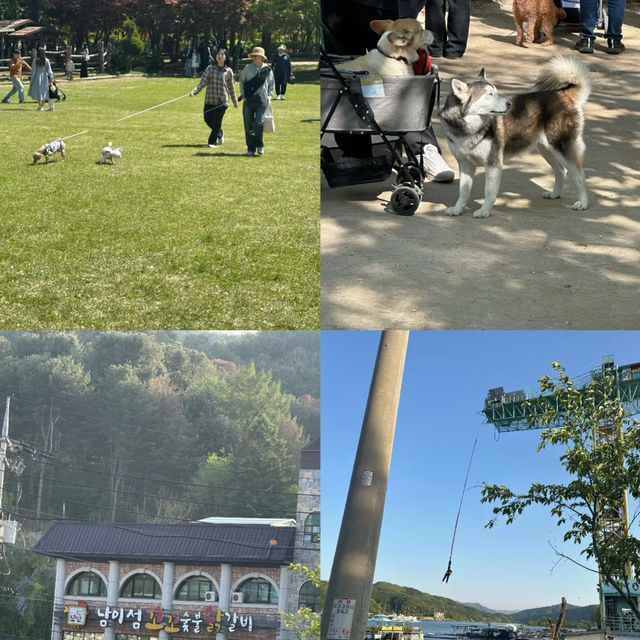 Nami Island One-Day Trip Guide • Spring Forest Walk Plan 🌿🚶‍♂️