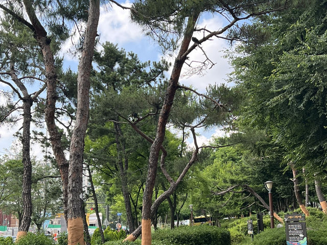옛길과 명일원터 가로 공원