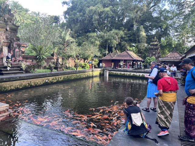 静寂の中の水の聖域|ティルタ ウンプル寺院