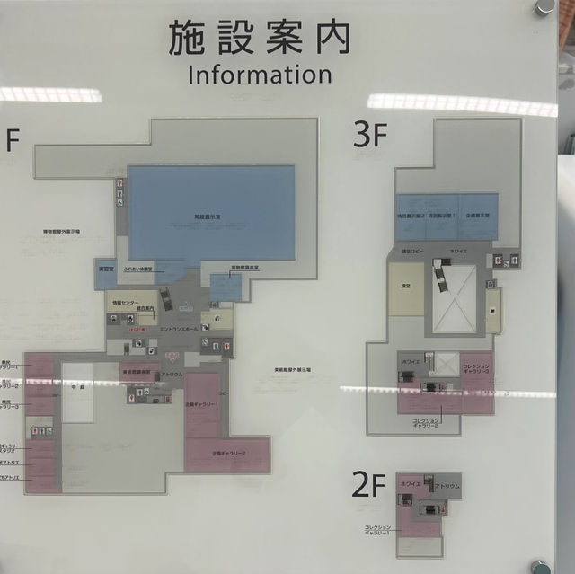 Seriously, Why Did No One Tell Me the Okinawa Prefectural Museum Was Such a Treasure?! 🤩🏛️