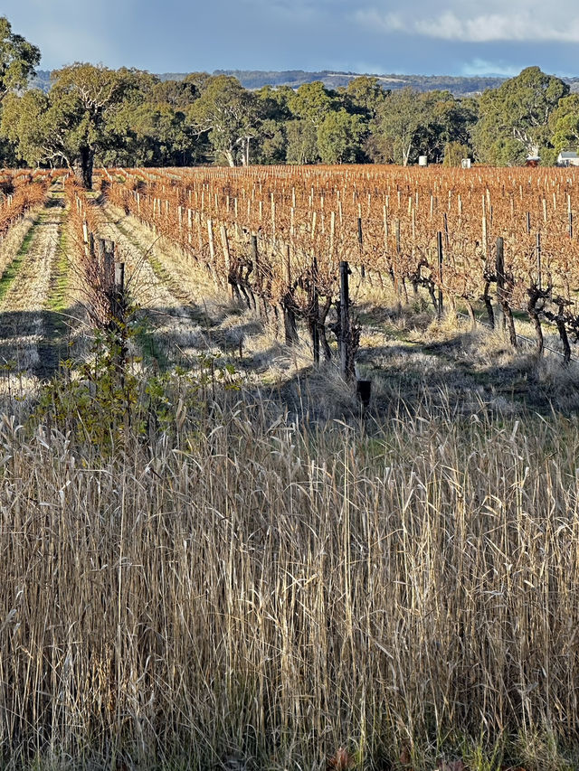Amazing Wines quick getaway 