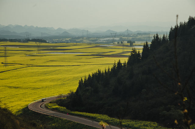 LUOPING IN SPRING 2025